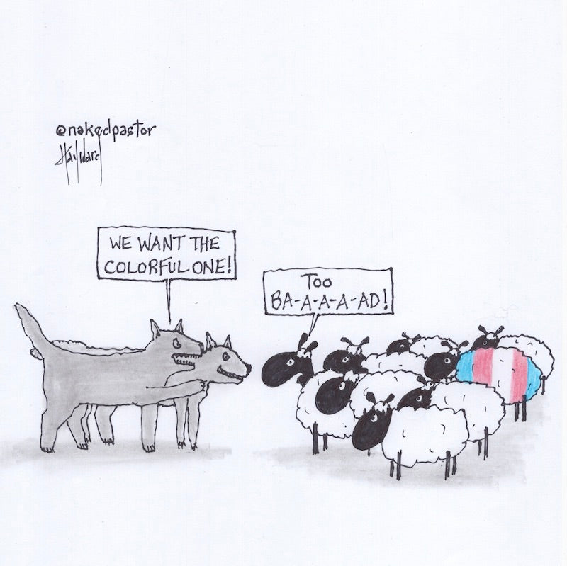 We Want the Colorful One Transgender Original Cartoon Drawing - by nakedpastor