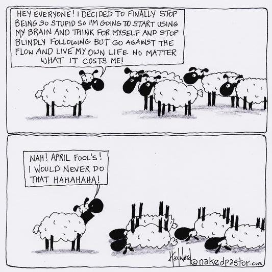 April Fool's Sheep Digital Cartoon - by nakedpastor