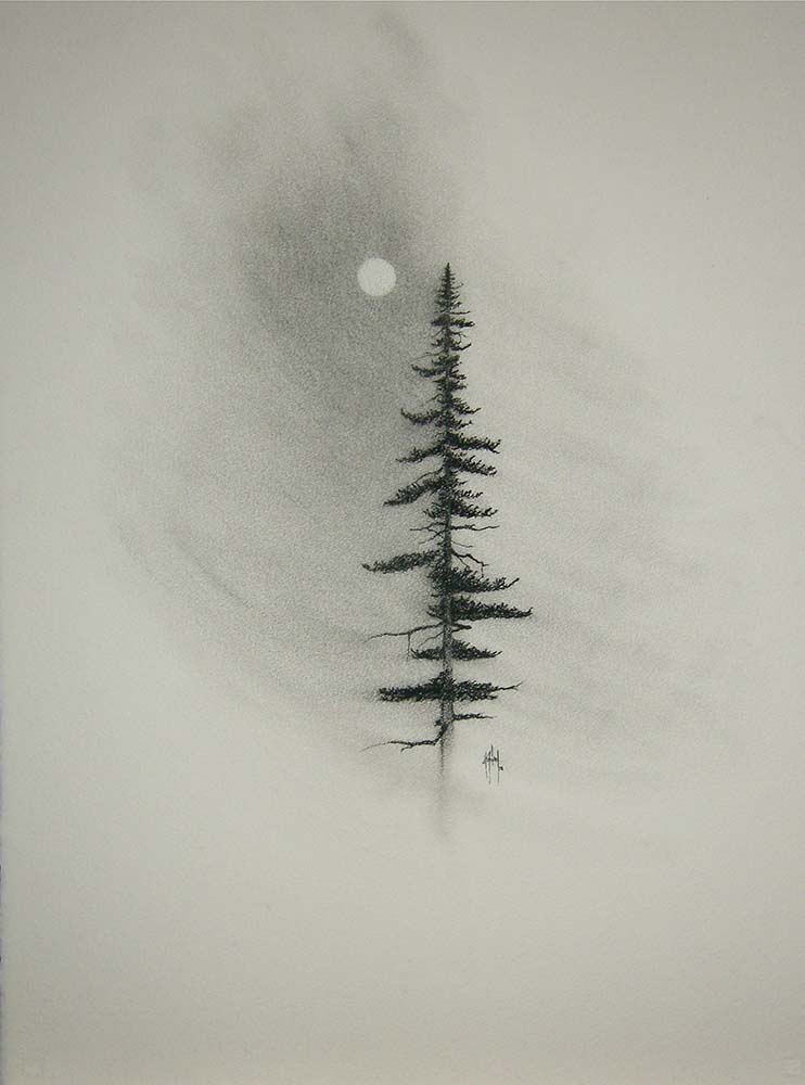 Pine Charcoal Drawing Print - by nakedpastor