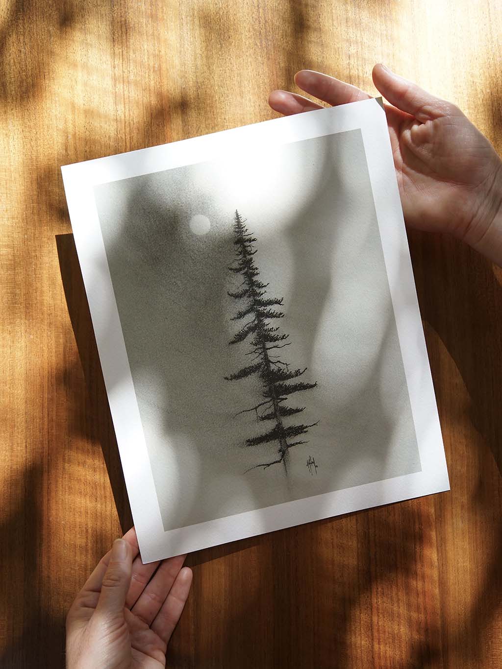 Pine Charcoal Drawing Print - by nakedpastor