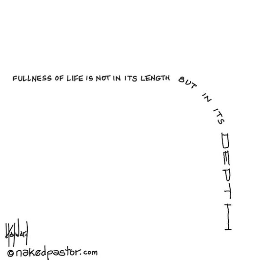 Fullness of Life Digital Cartoon - by nakedpastor