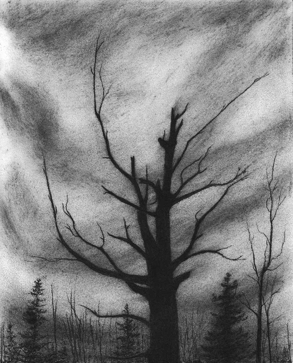 Here I Stand Charcoal Drawing Print - by nakedpastor