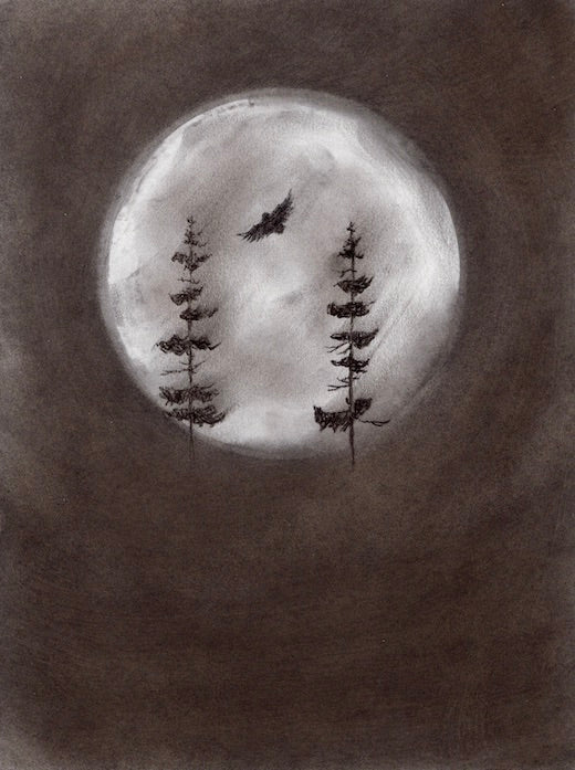 I Am Somewhere In Between Original Charcoal Drawing - by nakedpastor
