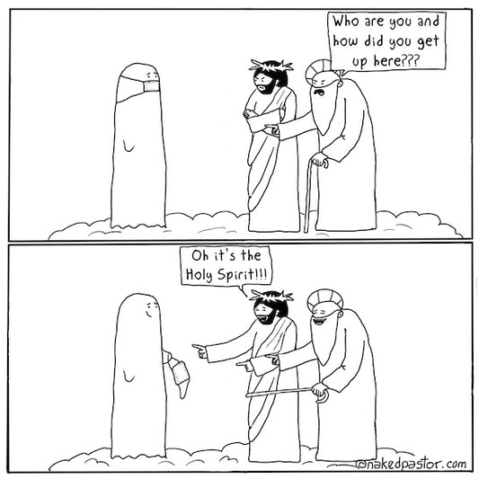 It's the Holy Spirit Digital Cartoon - by nakedpastor