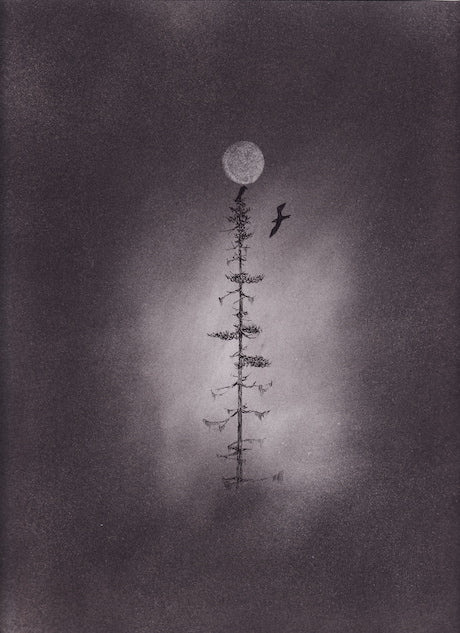 We Are Free Together Charcoal Drawing Print - by nakedpastor