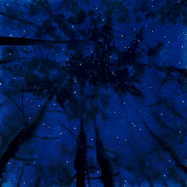 Embracing Doubt Is Like Embracing Night Embracing Doubt Is Like Embracing Night