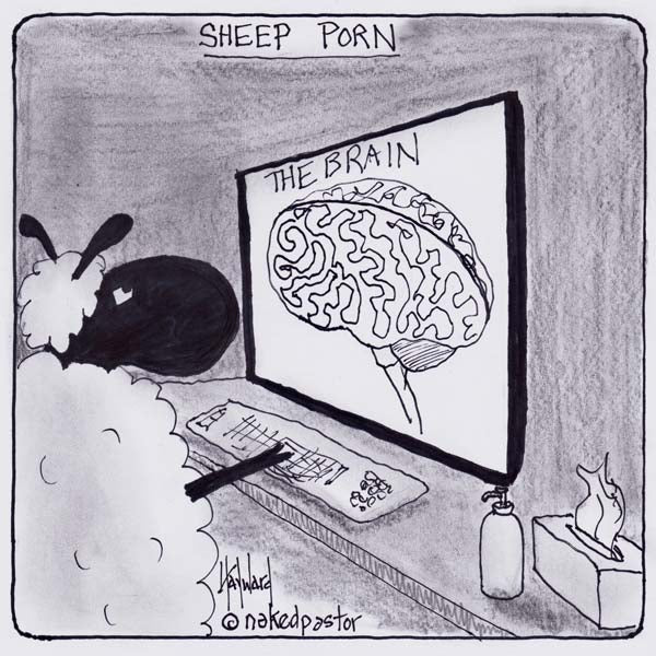"Sheep Porn" cartoon by nakedpastor David Hayward