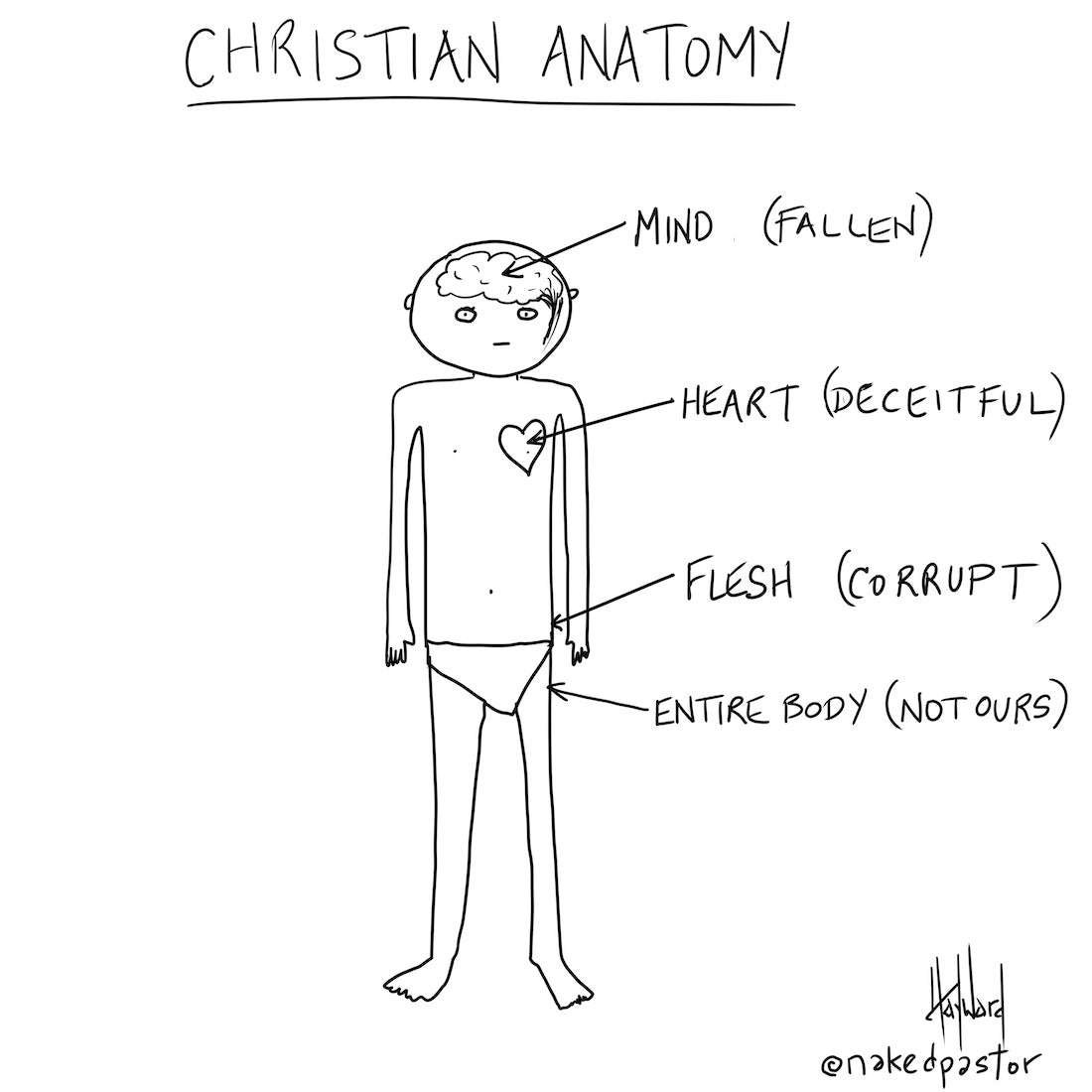 Christian Anatomy Digital Cartoon - by nakedpastor