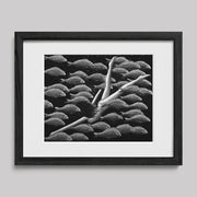 Sophia Flow Print-Drawings-nakedpastor
