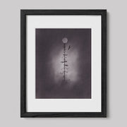 We Are Free Together Charcoal Drawing Print-Drawings-nakedpastor