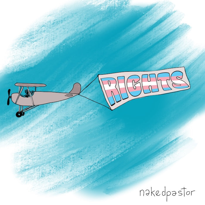 Plane Trans Rights Digital Cartoon