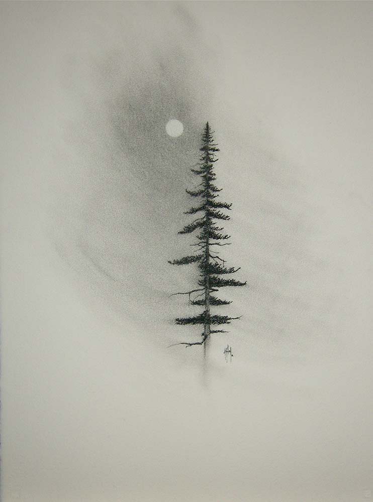 A Charcoal Pencil Sketch Of A Sparse Tree, Showcasing Detailed Anatomy And  Elegant Inking Techniques. The Sketch Captures The Essence Of  Hyperrealistic Illustrations With Its Clean And Sharp Inking. The Use Of