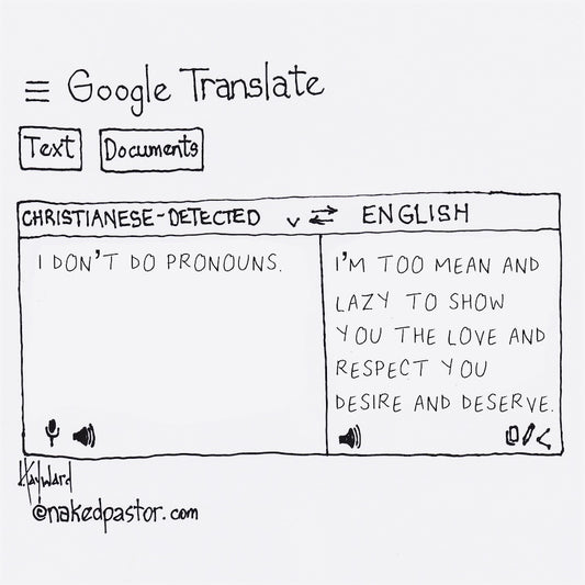 Google Translate: Pronouns Digital Cartoon