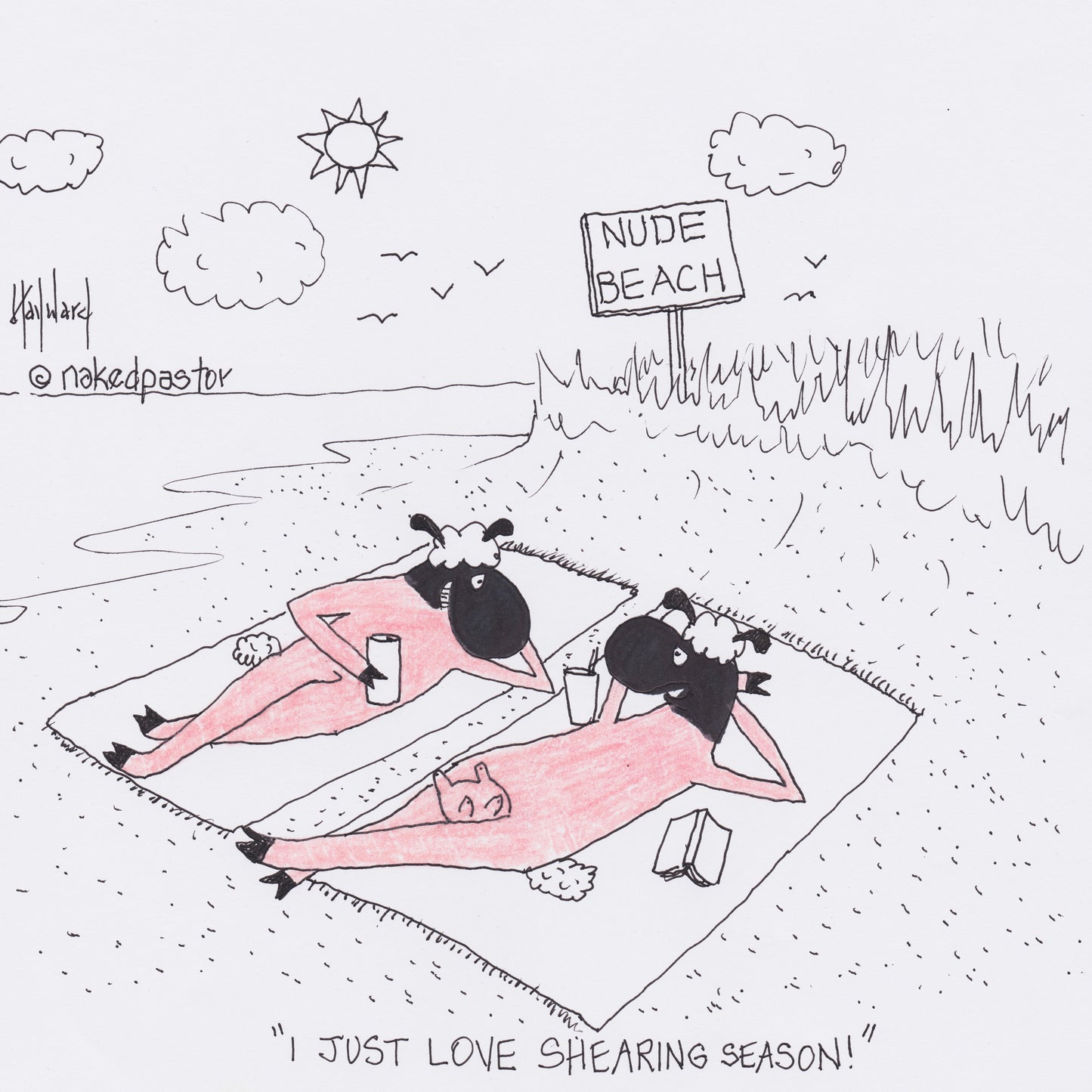 Shearing Season Digital Cartoon