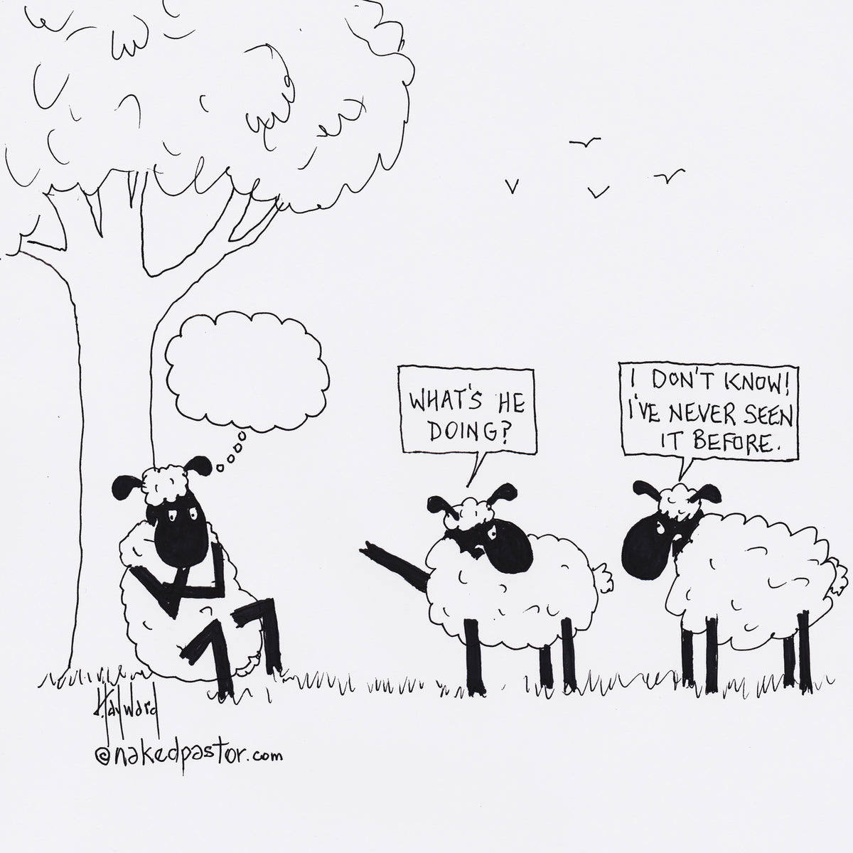 The Power of Negative Thinking Digital Cartoon - by nakedpastor