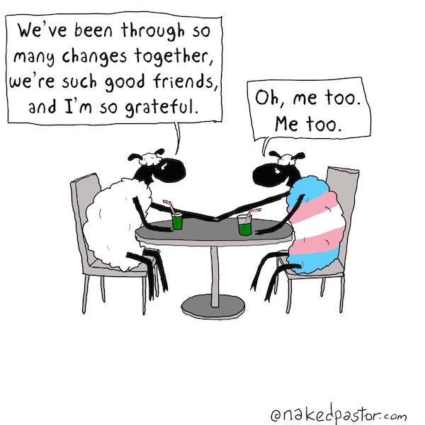 Transgender and Friendship Digital Cartoon