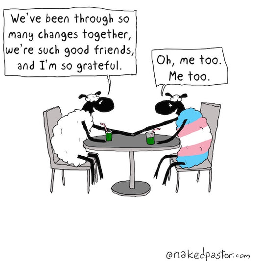 Transgender and Friendship Digital Cartoon - by nakedpastor