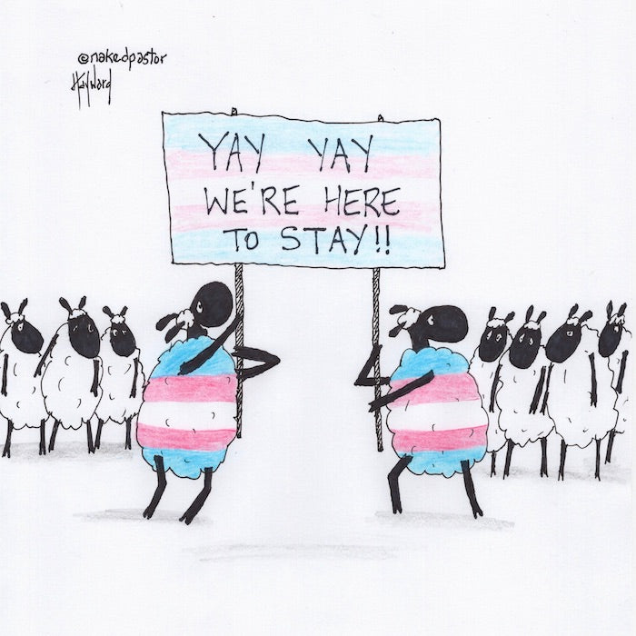 Yay Yay We're Here to Stay Trans Original Cartoon Drawing