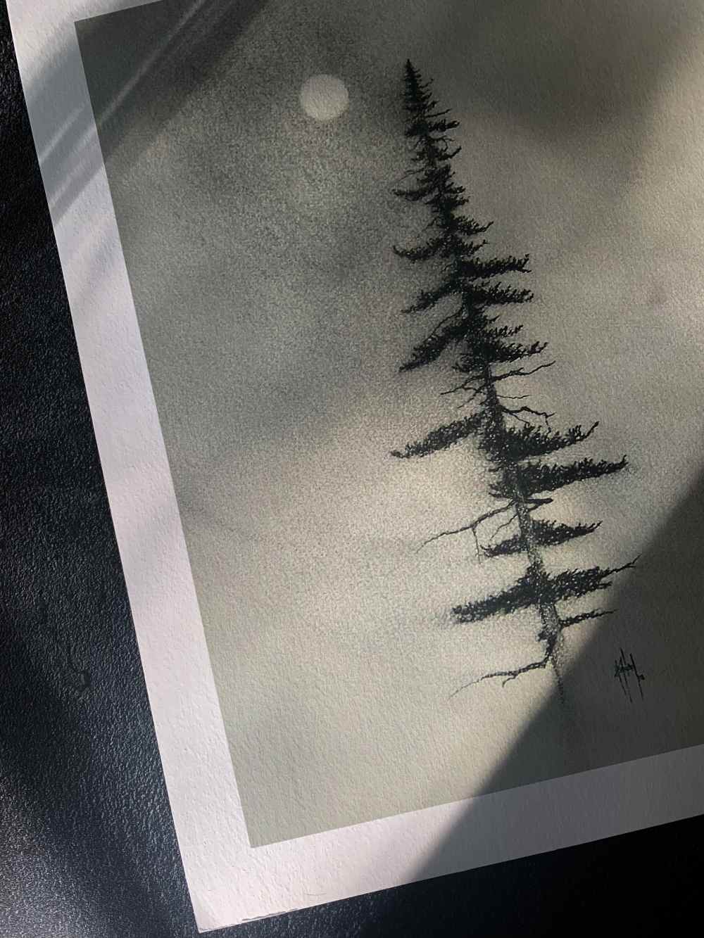 Pine Charcoal Drawing Print