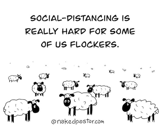 Flockers Digital Cartoon
